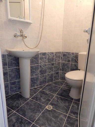 Bathroom 3, Balabanovata Kashta, Ivaylovgrad