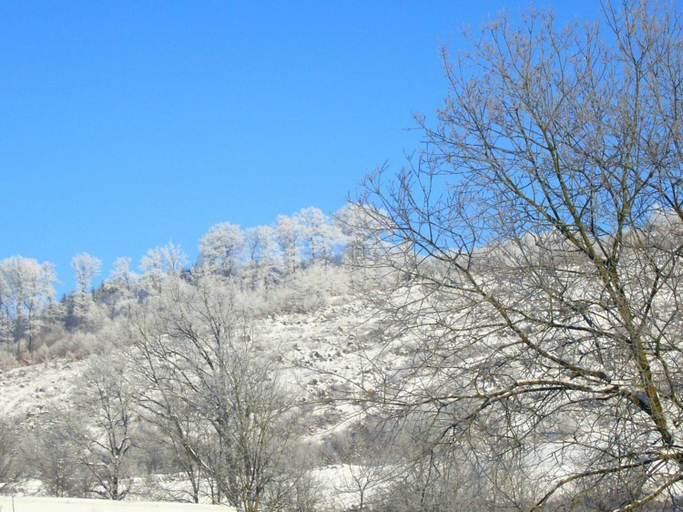 Others 4, Ferienwohnung in der Nahe des Skigebietes, Hochsauerlandkreis