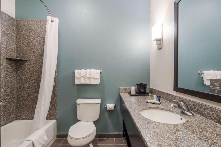Bathroom 4, Sleep Inn and Suites at Kennesaw State University, Cobb