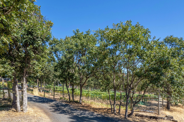 Miscellaneous 3, Happenstance Vineyards 2 Bedroom Home, Wasco