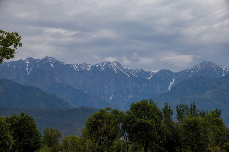 Miscellaneous 3, ELIVAAS Esh Cottages, Kangra