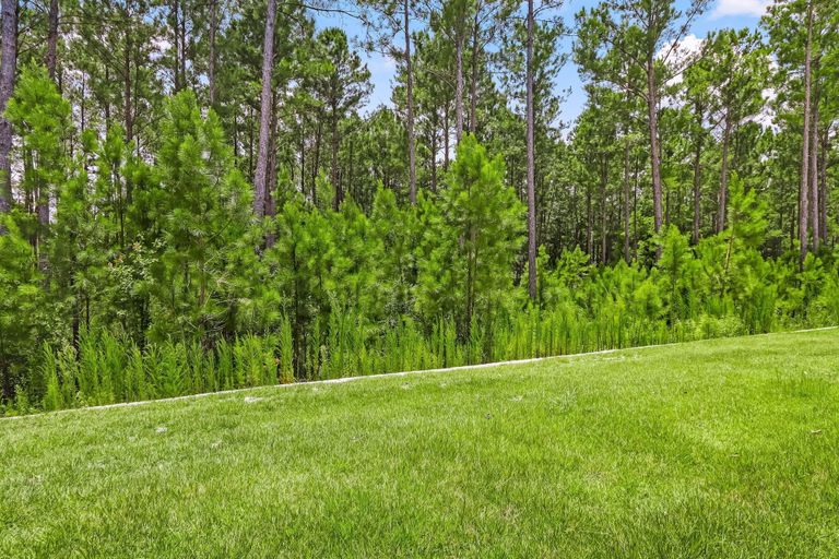 Interior 5, 632 Palmetto Place - Wildlight, Brevard