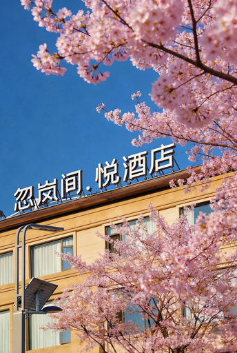 Primary image