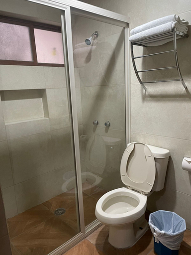 Bathroom 4, Hotel Plaza Express, Torreon Centro, Torreón