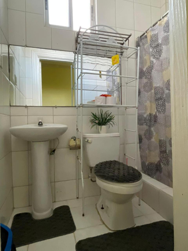 Bathroom 2, Emerald Apartments INC, City of Georgetown
