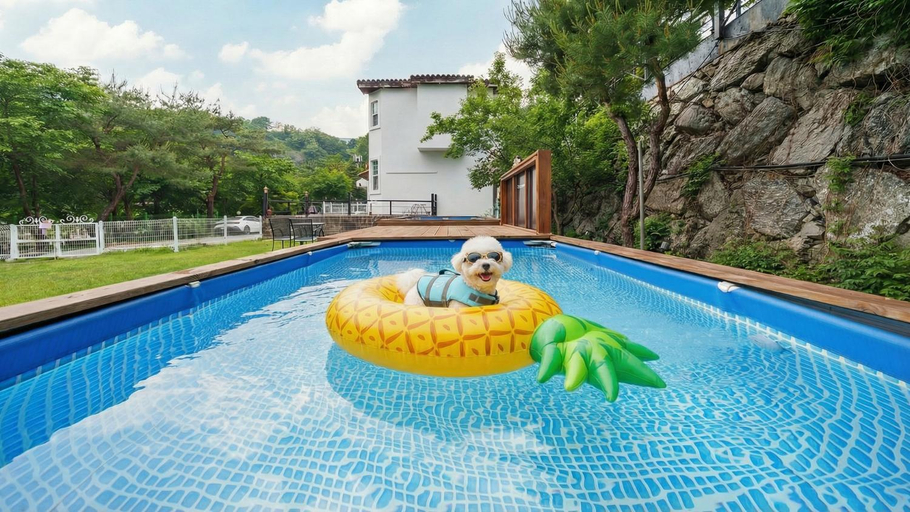 Sport & Beauty 5, Gapyeong Santa Maria Dog-friendly Privat, Gapyeong