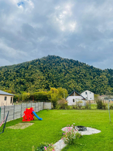 Surrounding environment