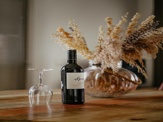 Food & Drinks, Seaside Stay in Egmond, Bergen