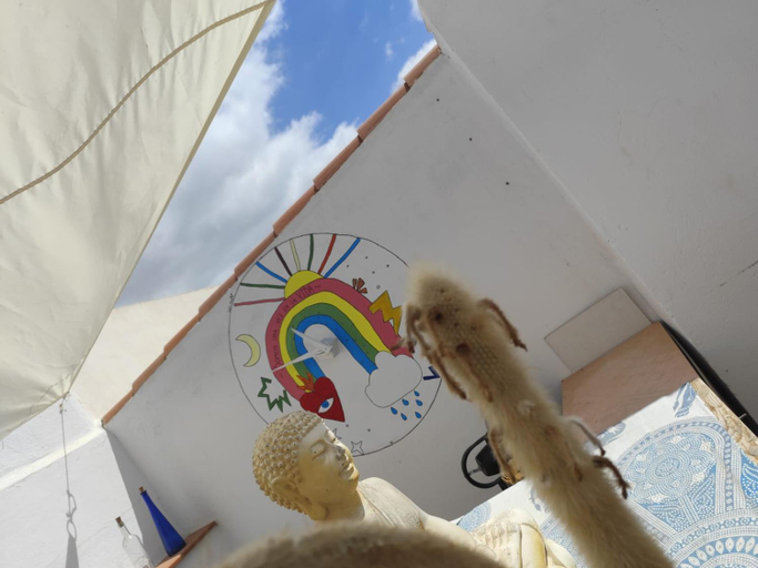 Others 5, Hostel Banana Surf House, Santa Cruz de Tenerife