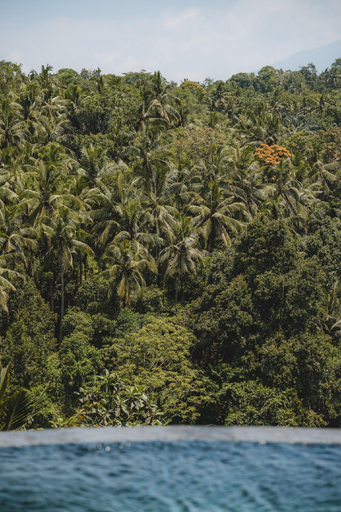 2, River Song Ubud, Bali, Gianyar