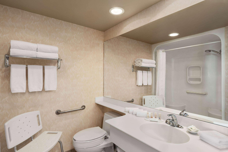 Bathroom 4, Royal Hotel Edmonton Airport, Trademark Collection by Wyndham, Division No. 11