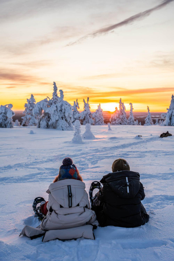 Others 4, Exclusive Villa Wikkelä Ranua with Sauna & Jacuzzi, Lapland