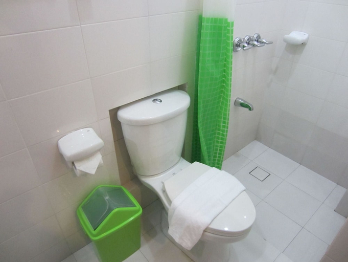 Bathroom, The Purple Tree Bed & Breakfast, Parañaque