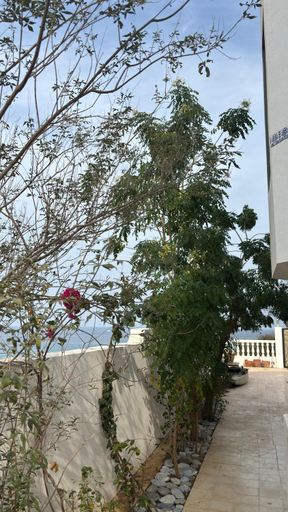 Others 5, Qantab village room, Muscat