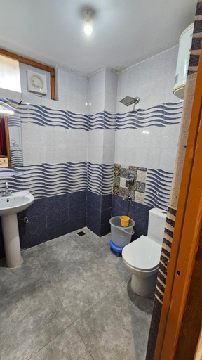 Bathroom 5, Hotel Alpine Vista, Kangra
