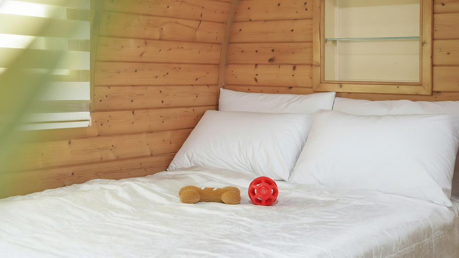 Bedroom, Gapyeong Venezia Dog Pension, Gapyeong