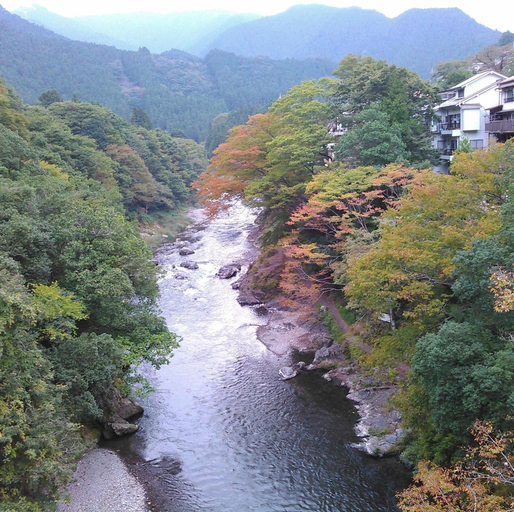Exterior & Views 2, A-yard, Ōme