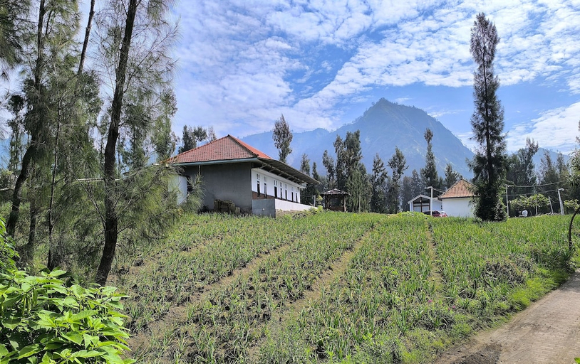 Others 4, Elen Homestay by ABM, Probolinggo