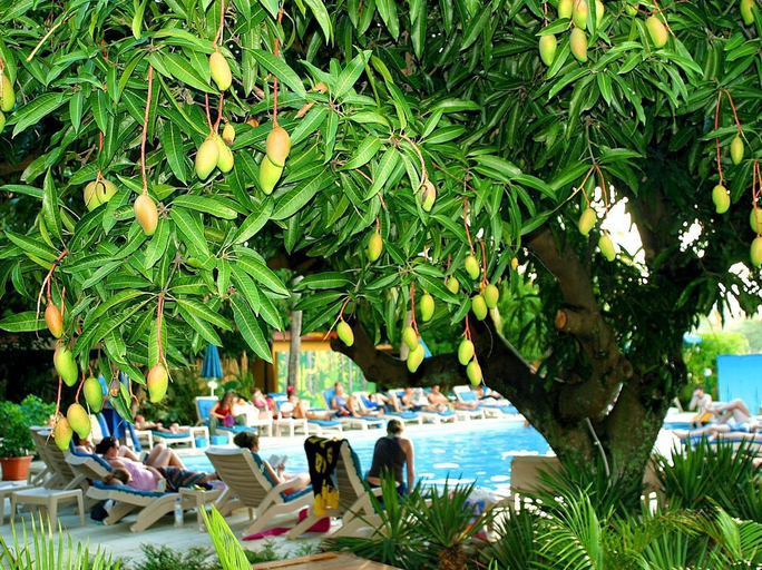 Others 3, Nadi Bay Hotel, Ba