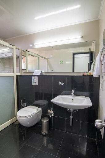 Bathroom, The Silvertips, Idukki