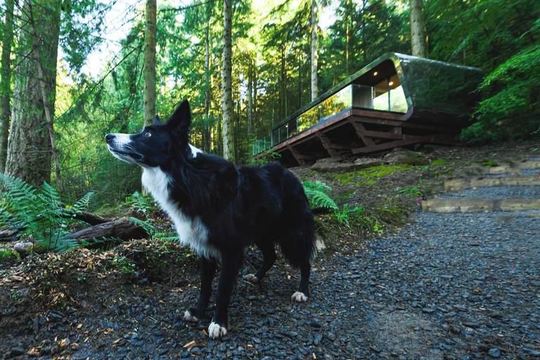 Others 5, Forest Lodges, Conwy