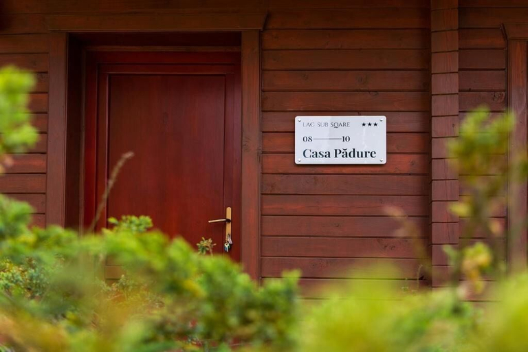 Exterior detail 5, Lac sub Soare, Iordacheanu