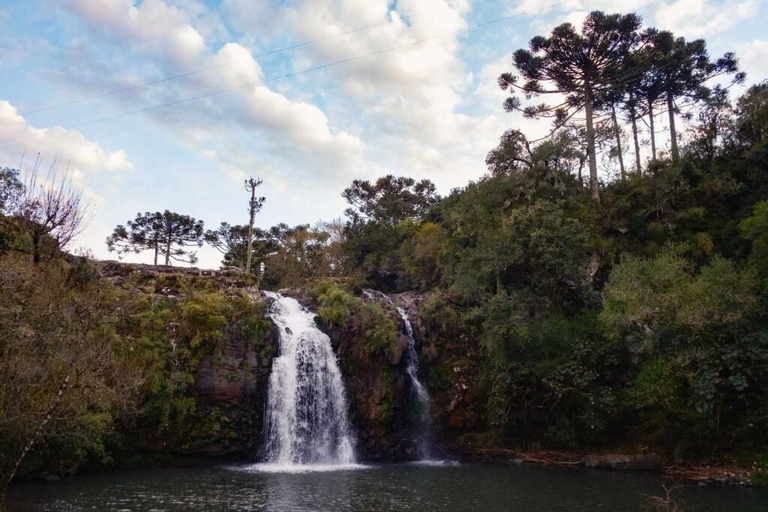 Miscellaneous 2, Vistas de Mantiqueira, Bom Jardim da Serra