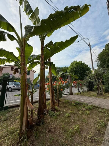 Property grounds, B&B Il Balcone Fiorito, Bologna