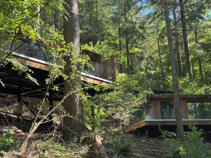 Exterior & Views 2, Forest Lodges, Conwy