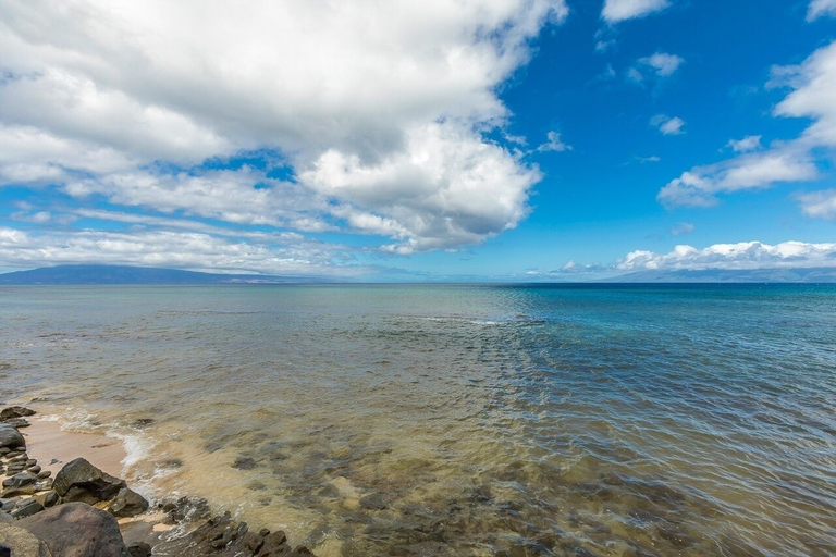 Property grounds 3, Hale Kai by Coldwell Banker Island Vacations, Maui