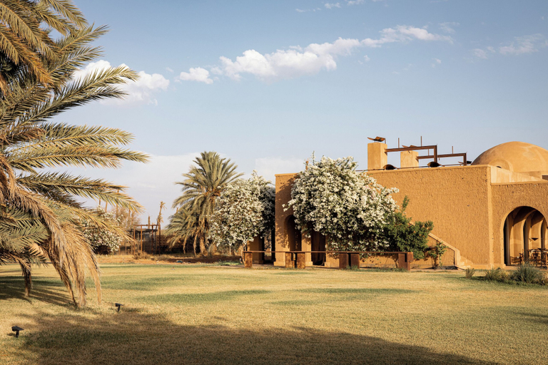 Property grounds 3, Bliss Terra Janna, Marrakech