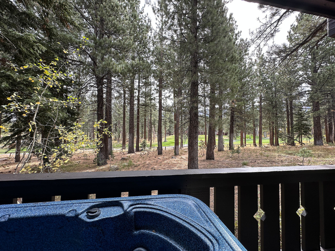 Outdoor spa tub 4, Timbers 6 Updated and Pet-Friendly, Private Jacuzzi, Private Garage by RedAwning, Mono