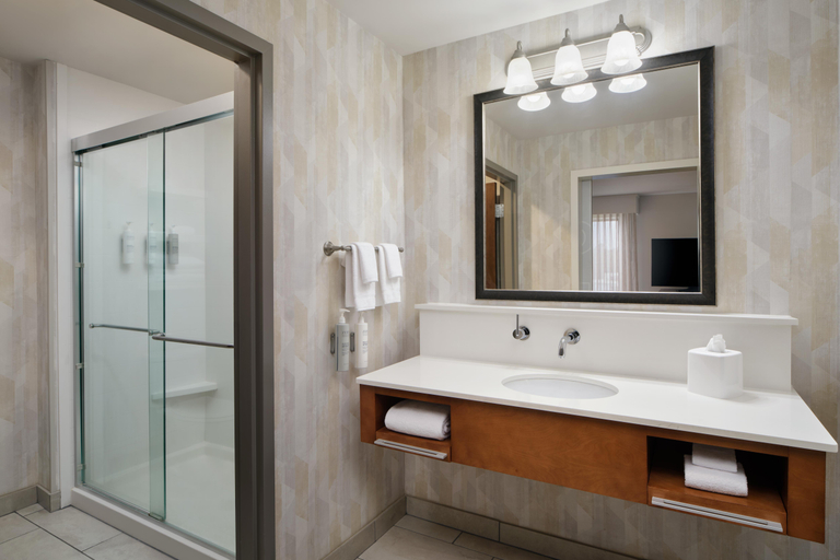 Bathroom 4, Hampton Inn Waynesboro, Burke
