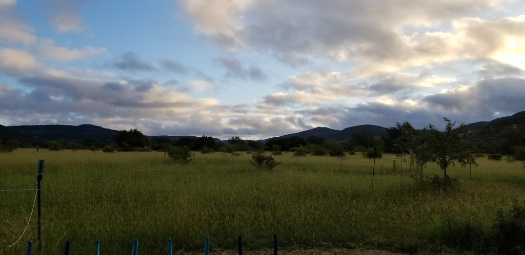 Miscellaneous 5, Hideaway Cabin 3 Bedroom Cabin, Uvalde