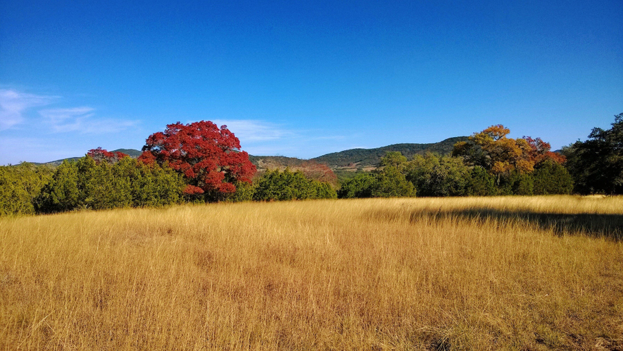 Miscellaneous 3, Bluebird Hill with Star Suite 5 Bedroom Home, Uvalde
