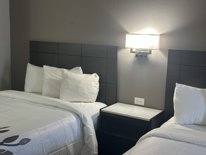 Room 4, Red Roof Inn Media, PA, Delaware