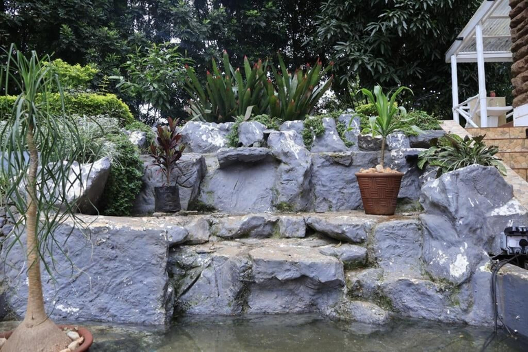 Property grounds 5, United House, Westlands