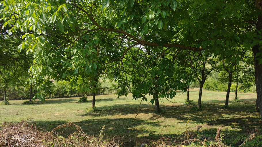 4, Villa with Pool Monferrato BOTTO LIVING, Alessandria