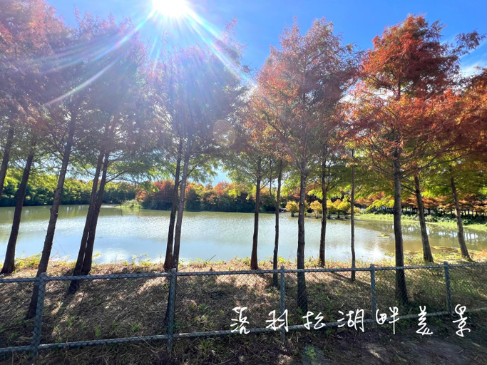 Others 4, 夢幻城堡民宿, Yilan