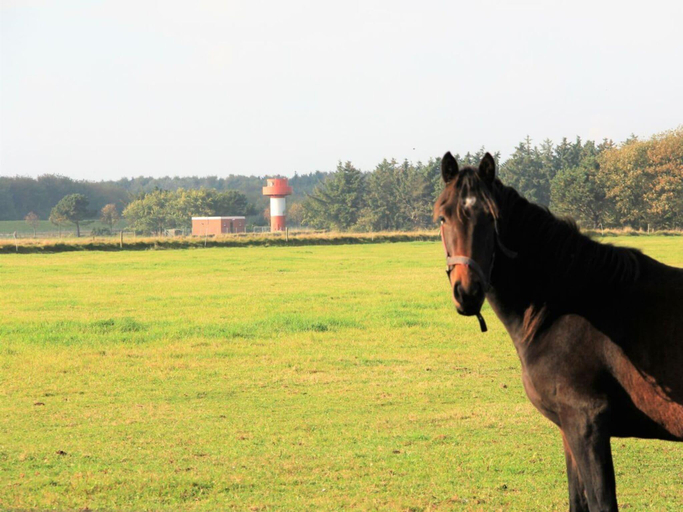 Others 5, Westerheide Modern retreat, Nordfriesland