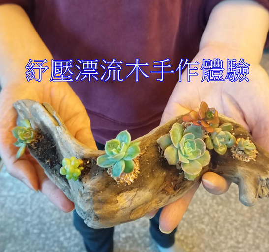 Food & Drinks 4, Green Window Homestay綠窗小築天安居民宿, Hualien