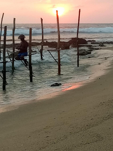 Others 3, Ceylon Sungarden, Habaraduwa