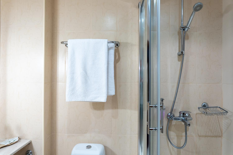 Bathroom 2, Hotel Hadjiite, Koprivshtitsa