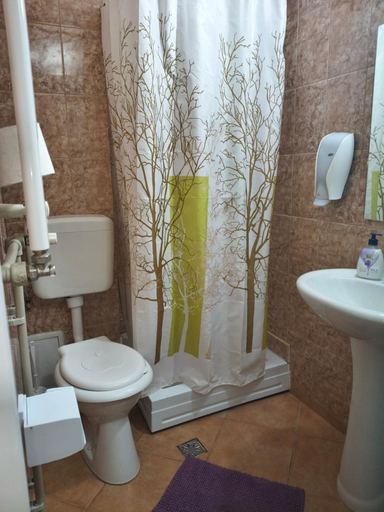 Bathroom 4, Pensiunea Valea Negrasului, Tesila