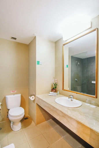Bathroom, Luwansa Hotel, Palangkaraya