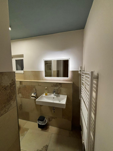 Bathroom 3, Gasthaus Zum Schlovüwirt, Neumarkt in der Oberpfalz