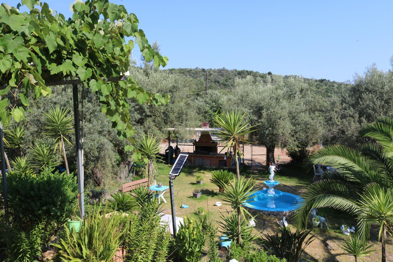 Sport & Beauty, Ellis Studios, Ionian Islands