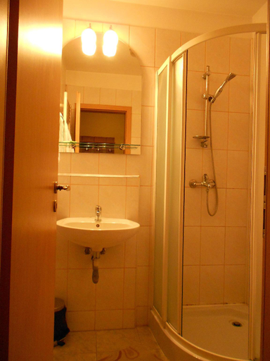 Bathroom, Pensiunea Ileana, Sibiu