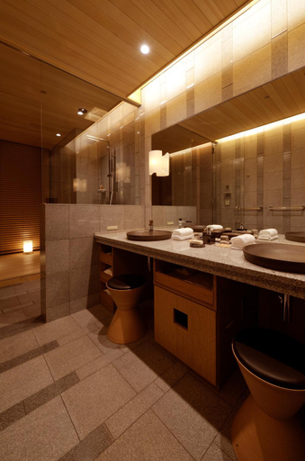 Bathroom 5, Okuikaho Ryotei Kaichoro Ryokan, Shibukawa