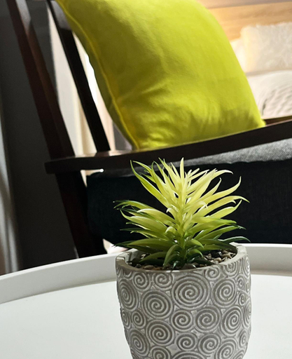 Others 3, Defensa 821 Bed and Breakfast, Distrito Federal